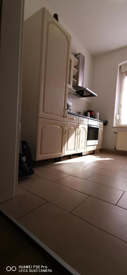 Monteurwohnung 1 Bitterfeld 외부 사진